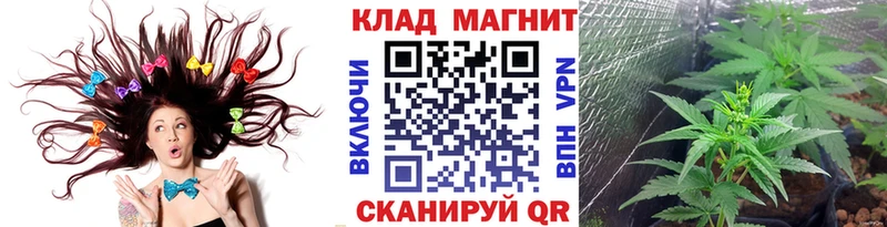 Купить Павловский Посад Alpha PVP  Марихуана  Cocaine 