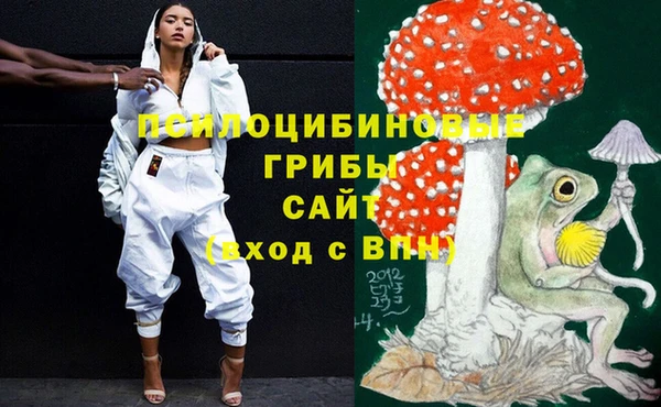 прущие крисы Верея