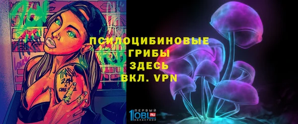 прущие крисы Верея