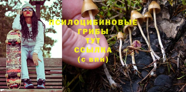 jwh Каменногорск